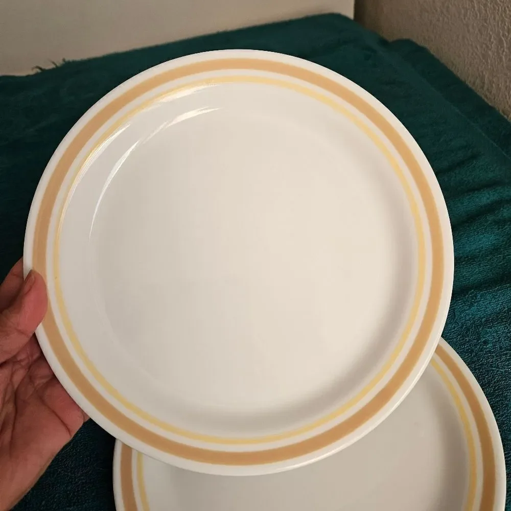 Corelle 2 luncheon plates in the Almond Citrus pattern.